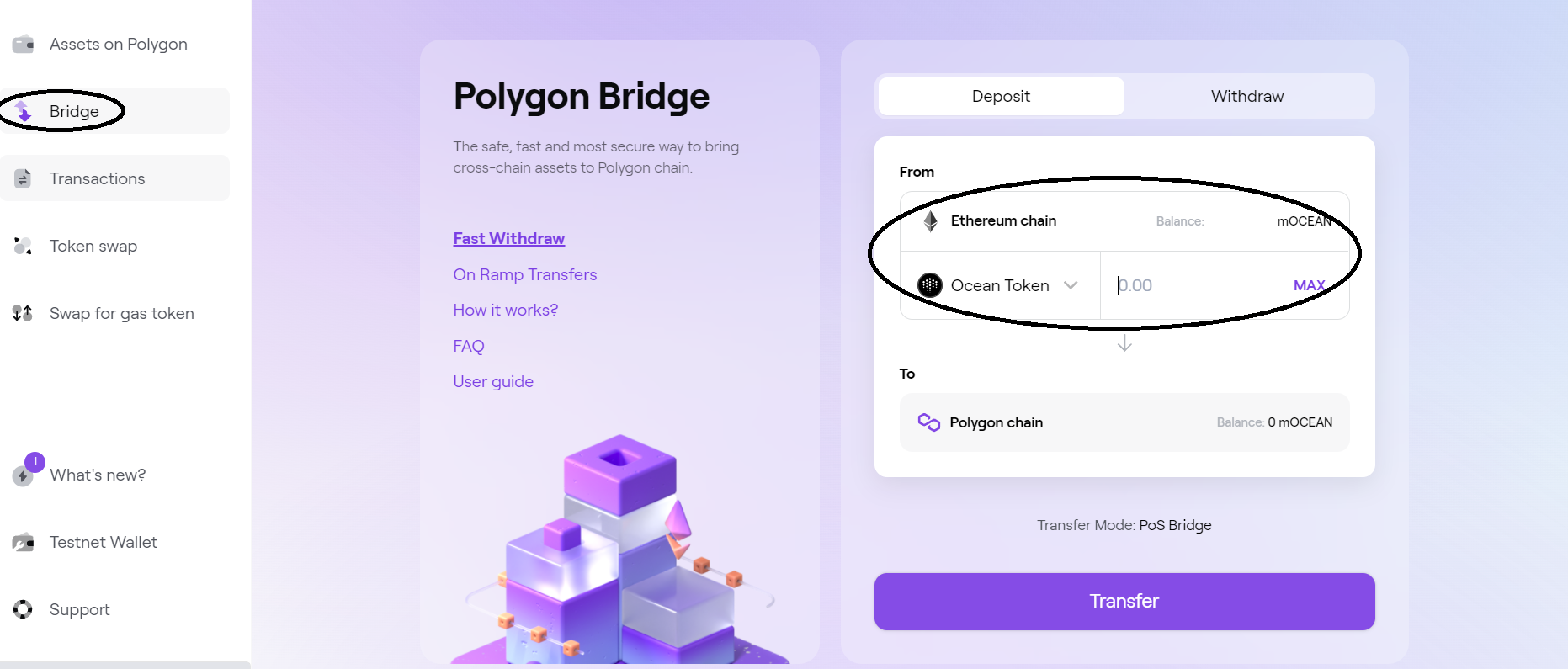 Multichain_Polygon_wallet_mainpage