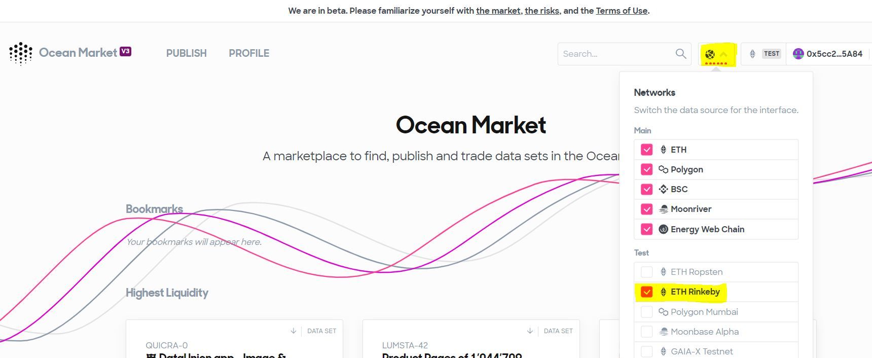 OceanMarket_SelectingTestnet-1